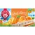 Teekanne Word of Fruit Greek Apricot sárgabarack ízű tea, 45 g